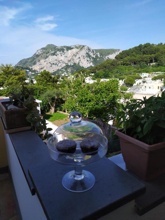 La Casa Di Armando Panzió Capri Kültér fotó